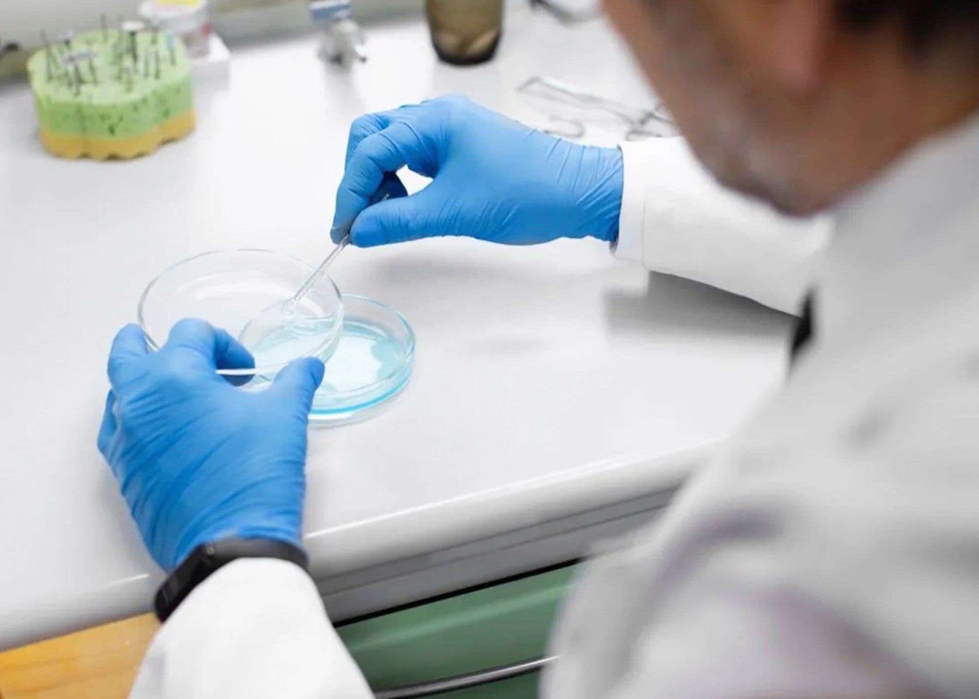 Exame Toxicológico Para Primeira Habilitação (CNH): Entenda as Novas Regras